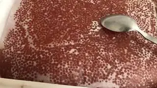 Икра кижуча сентябрь 2021г.