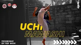 Tips Tendangan Uchi Mawashi (Inside Round Kick Karate Version)