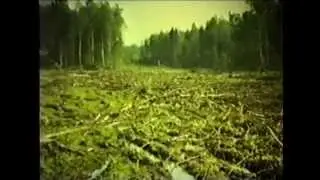 Экологические системы и их охрана