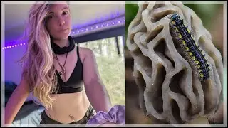 Morel mushrooms & vanlife adventures!