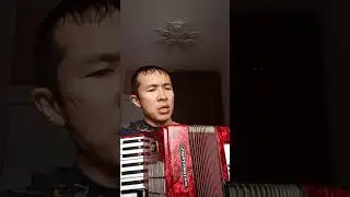 Santa Lucia (неополитанская песня) на аккордеоне