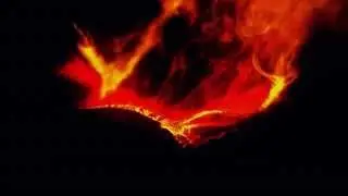 The phoenix