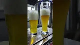 Фильтруем пиво 