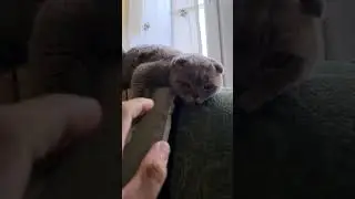 чиллл