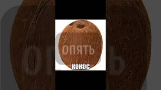 ДА БЛЕТ Я ТОЛЬКО НЕДАВНО РАЗОБЛАЧАЛ ТОГО ПЛАГИАТА А ТЕПЕРЬ УЖЕ И @Kot_Kotok_1488 появился💀🥥