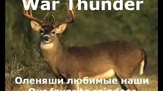 #1 Олени War Thunder | Deer in the War Thunder