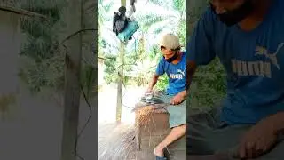 Tutorial Sepuh Ulang Golok Menggunakan OLI