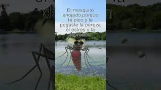 el mosquito estresado