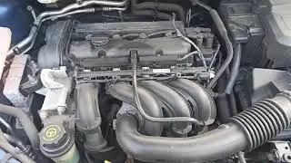 M235 ДВС (Двигатель) Ford Focus-2 1.6i HWDA (HWDB)