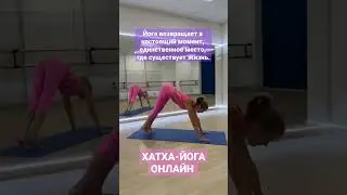 ХАТХА-ЙОГА ОНЛАЙН #йогаонлайн #yogalife #yogaonline #йогадома #йогажизнь #хатхайога #зож