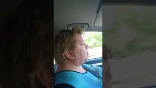По дороге к бабушке 2