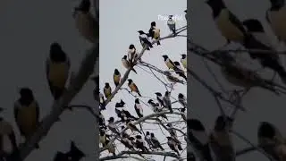 NATURE AND BEAUTY