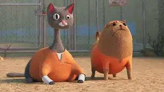 Ready player cat and dog