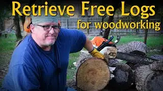 Free Logs for Woodwork - But Ya got to get them Home and Processed.