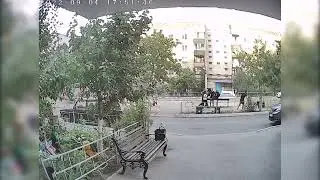 В Орске ребёнка покусала собака