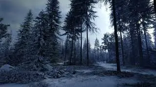 TheHunter: Call of the Wild