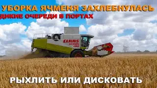 No nature! Barley harvesting, Ninth Wave 2024. Pallada or General disc harrow.