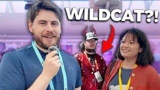 WE FOUND WILDCAT AT TWITCHCON