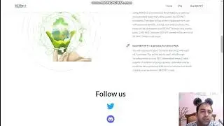 REX NFT Proje İncelemesi TR