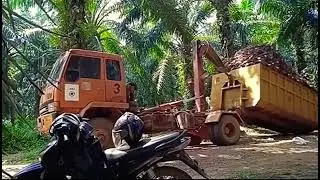 sopir truk Sawit