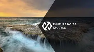 Phuture Noize - Sharks
