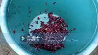 Домашнее вино. 100% качества)