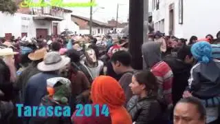Tarasca 2014
