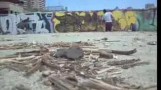 Enker-seys picina recreo