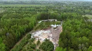 Свалка в лесу возле Тюнево