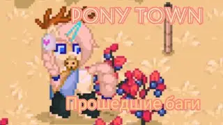 как летать без крыльев в Pony Town/Пони Таун (прошедшие баги)