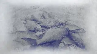 Дядя КОЛЯ хотел РЕВАНША. и как ПОЛУЧИЛОСЬ!? ИСТРА 02.02.2022 г