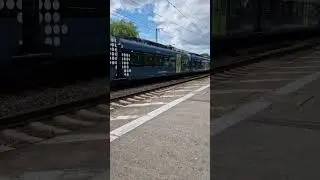 Ньюмонстер