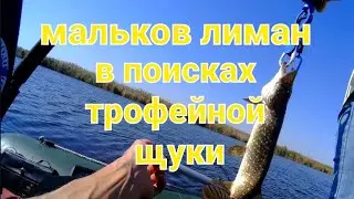 рыбалка на щуку осенью