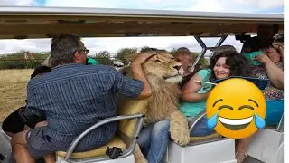 Best Funny Videos 🤣 - People Being Idiots | 😂 Try Not To Laugh