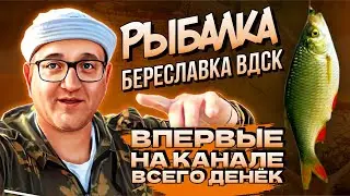 Береславка и много рыбы | Крупный карась и лещ в садке | Новые места радуют