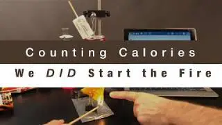 Counting Calories: Energy in foods