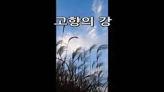 고향의강   -  Alto Saxophone 김건형