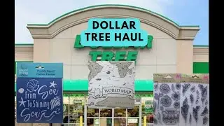 DOLLAR TREE HAUL 6 9 2023