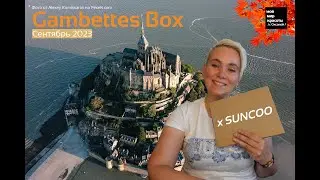 #gambettes
