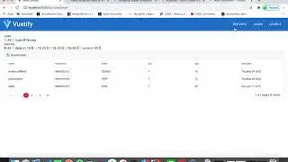 Report by NodeJs VueJs MongoDb