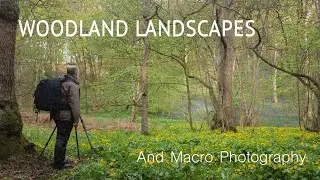 Woodland Landscapes and Macro Photography