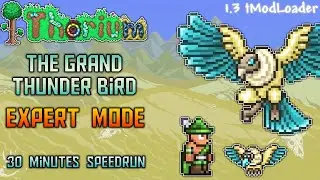 The Grand Thunder Bird in 30 Minutes on Expert Mode - Terraria Thorium Mod Speedrun