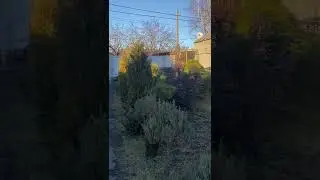 Скоро весна😍Солнышко как же тебя не хватало🙌🥰