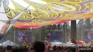 HOMmega Festival 20 Anniversary - Astrix