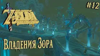 ПРИШЁЛ ВО ВЛАДЕНИЯ ЗОРА ◈ The Legend of Zelda: Breath of the Wild ◈ #12