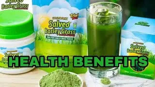 Salveo Barley Grass Health Benefits