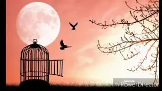 Mehmet Can -Sürgün Ülkeden Başkentler Başkentine  (Sezai Karakoç)