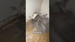 This is some of the THICKEST Lint we’ve ever seen! #oddlysatisfying #unclogging #dryerventcleaning