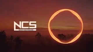 PLEEG - Spirit [NCS release]