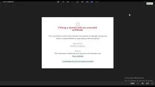 Visiting a domain with an untrusted certificate, Kaseprsky Error Message when browsing internet